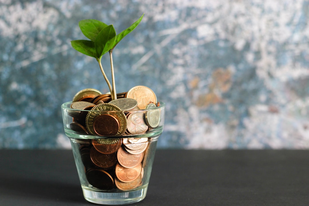 Photo Financial planner